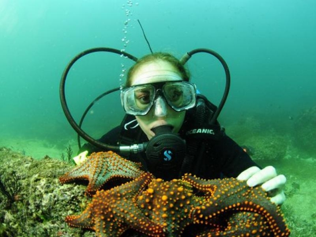  Immersioni ad Acapulco 